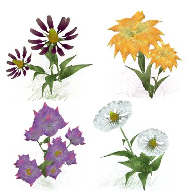 Beyaz arka planda güzel suluboya çiçekler