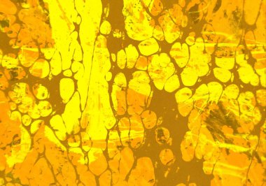 Metnin için alanı olan soyut grunge arkaplanı  