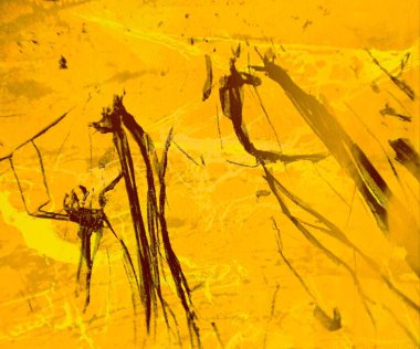 boya lekeleri ile grunge arka plan