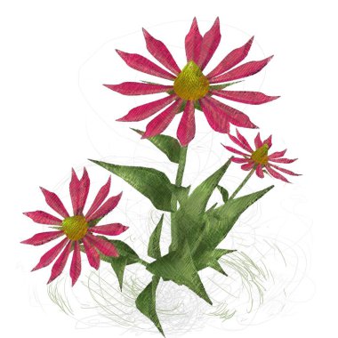 Beyaz arkaplanda güzel çiçekler