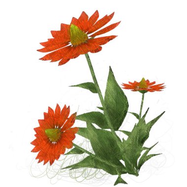 Beyaz arkaplanda güzel çiçekler 