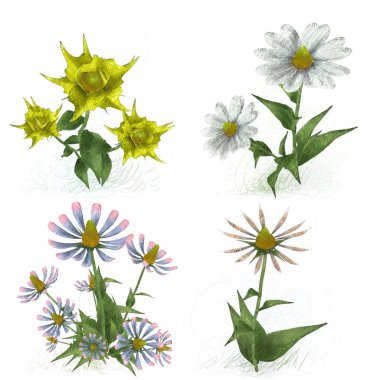 Beyaz arka planda suluboya çiçekler seti