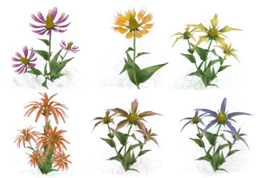 Beyaz arkaplanda güzel çiçekler