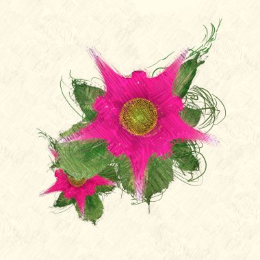 beyaz arkaplanda kırmızı çiçekler