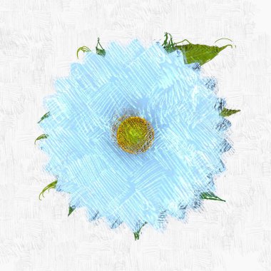 suluboya çiçek beyaz izole