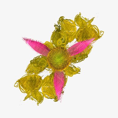 kırmızı gül beyaz arkaplanda izole