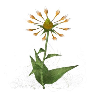 beyaz arkaplanda çiçek