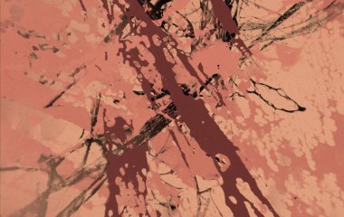 metin için alanı olan grunge arkaplanı 