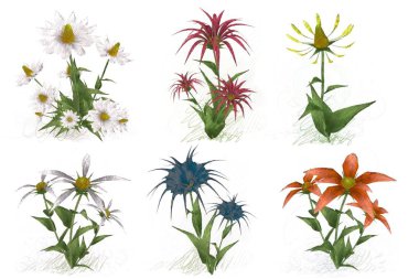 Beyaz arka planda suluboya çiçekler seti