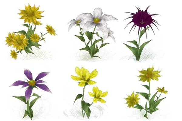 Красиві Акварельні Квіти Білому Тлі — стокове фото
