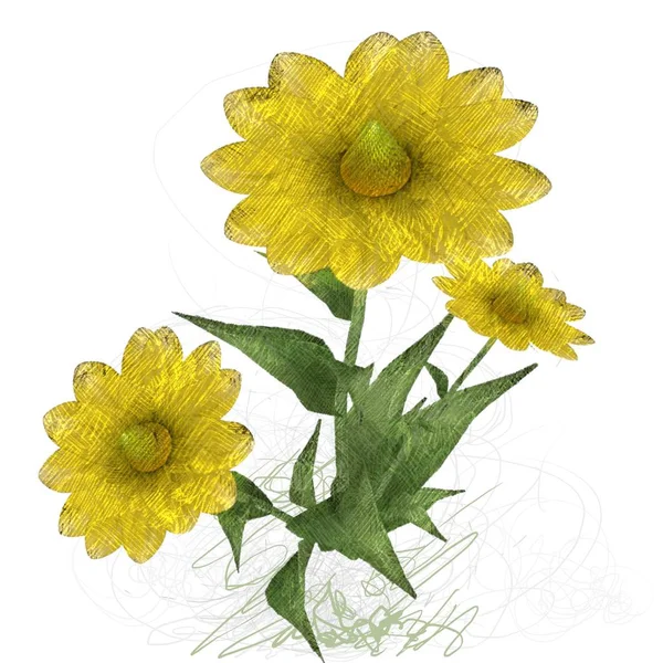 Yellow Flower Isolated White Background — Stock Photo, Image