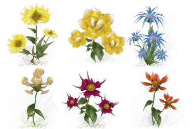 Beyaz arkaplanda güzel çiçekler