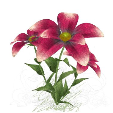 Beyaz arka planda izole çiçek