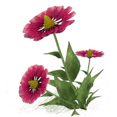 Beyaz arkaplanda izole edilmiş pembe çiçekler