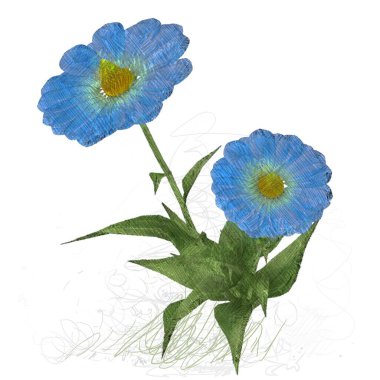 suluboya çiçek beyaz izole