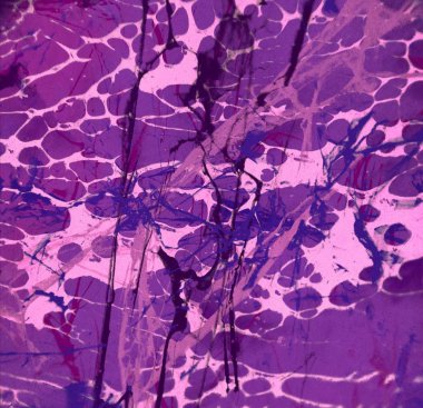 Arkaplanda soyut renkli lekeler               