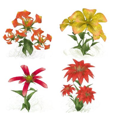 Beyaz arka planda suluboya çiçekler seti