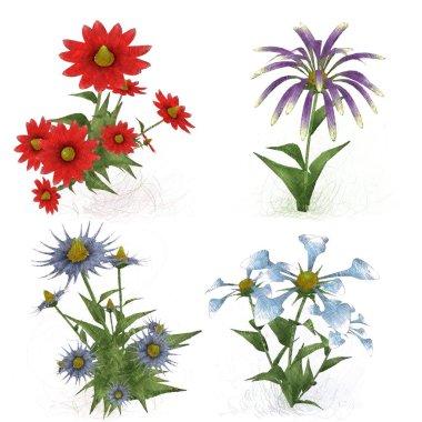 Beyaz arka planda suluboya çiçekler seti