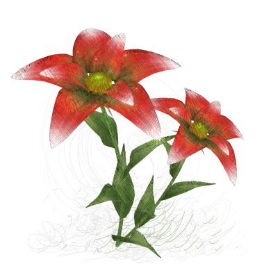 beyaz zemin üzerine kırmızı yaprakları