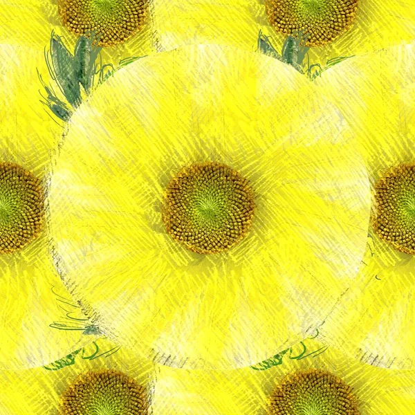 Indah Latar Belakang Bunga Matahari — Stok Foto