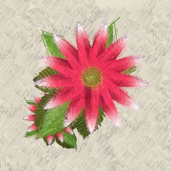Renkli Çiçek Doku Arka Plan — Stok fotoğraf