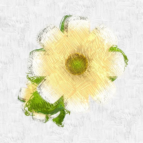 Свіжа Квітка Квітами — стокове фото