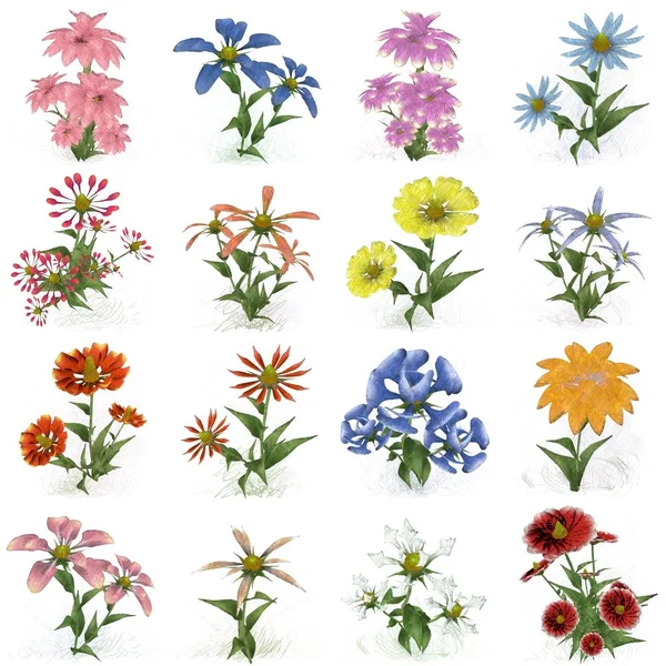 Set Von Aquarellblumen Auf Weißem Hintergrund — Stockfoto