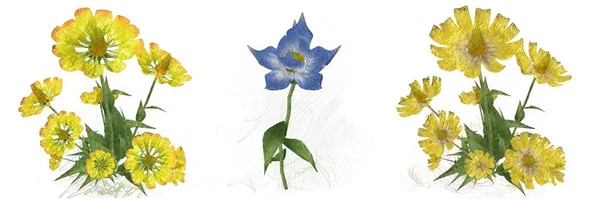 Akvarel Květiny Izolované Bílém Pozadí — Stock fotografie
