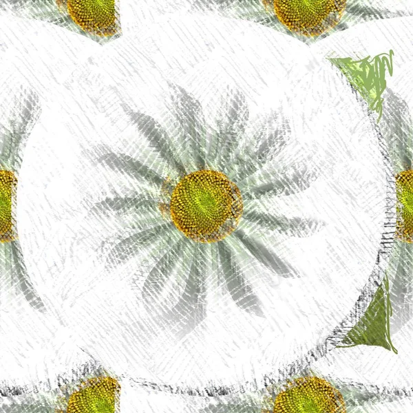 绿色和白色的花 — 图库照片