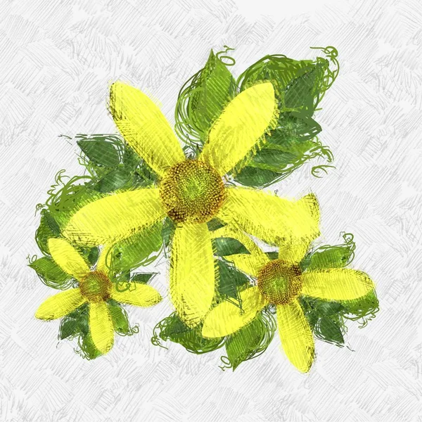 Bunte Blume Textur Hintergrund — Stockfoto