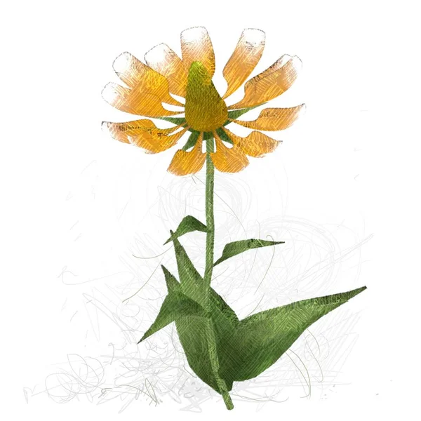 Beyaz arka planda izole çiçek