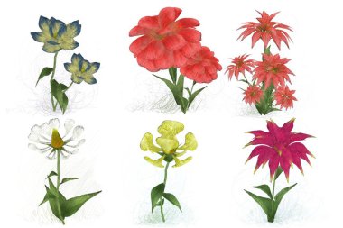 Beyaz arkaplanda izole edilmiş suluboya çiçekleri