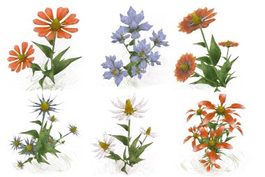 çiçekler ile suluboya çiçek deseni