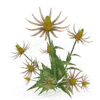 Beyaz arkaplanda izole edilmiş noel ağacı