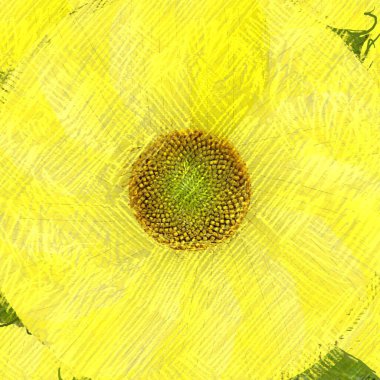 sarı arka planda ayçiçeği