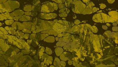 metin için alan ile arka planda soyut renkli lekeler