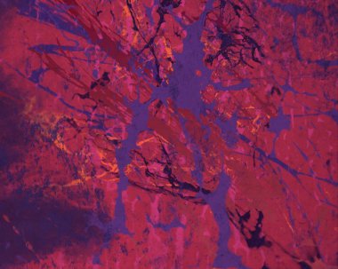 metin için alan ile arka planda soyut renkli lekeler