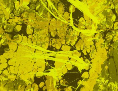  metin için alanı olan grunge arkaplanı       