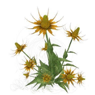 Beyaz arkaplanda izole edilmiş noel ağacı