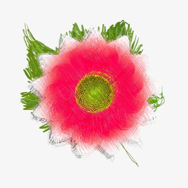 beyaz arkaplanda izole edilmiş çiçek