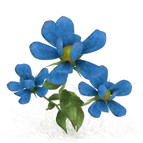 Niebieska Orchidea Izolowana Białym Tle — Zdjęcie stockowe