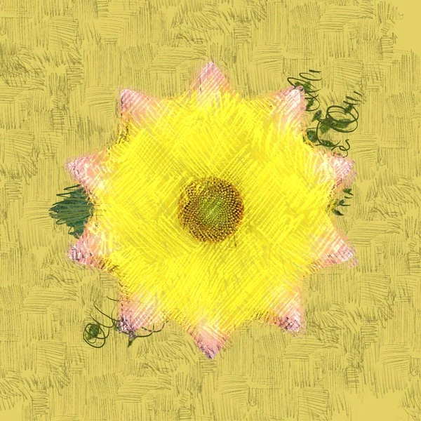 Πολύχρωμα Λουλούδια Κίτρινο Φόντο — Φωτογραφία Αρχείου