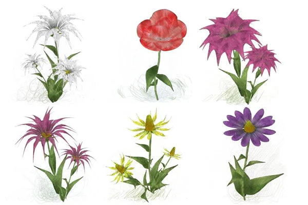 Kwiatowe Tło Kwiatami — Zdjęcie stockowe