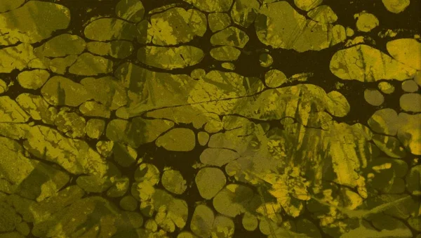 metin için alan ile arka planda soyut renkli lekeler