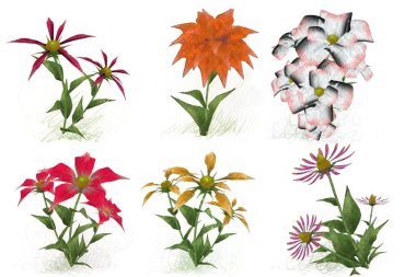 Beyaz arkaplanda güzel çiçekler