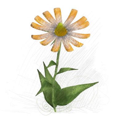 beyaz zemin üzerine suluboya çiçek