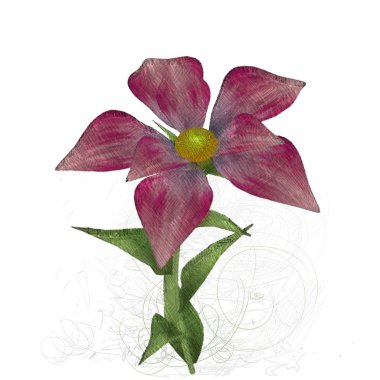 kırmızı gül beyaz arkaplanda izole