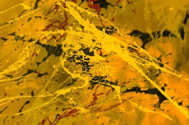 Metin için yeri olan boya lekeleriyle soyut arkaplan 