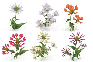 Çiçekli çiçek deseni