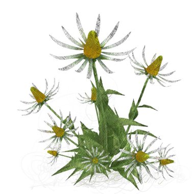 beyaz arkaplanda yeşil yapraklar izole